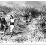 Το Μάζεμα της Μαστίχας